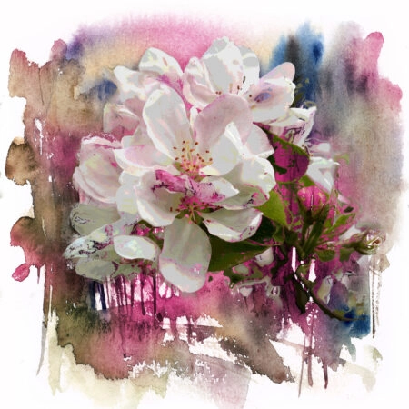 Πίνακας Τετράγωνος SPRING FLOWERS PINΚ - Ανθη Δεντρων Sticky 4