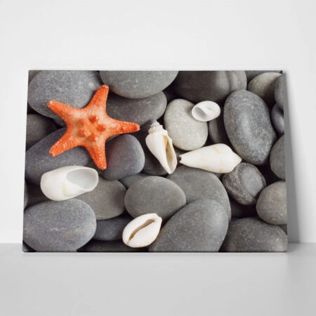 Πινακας σε καμβά STARFISH 2 - Κοχυλια Sticky 1
