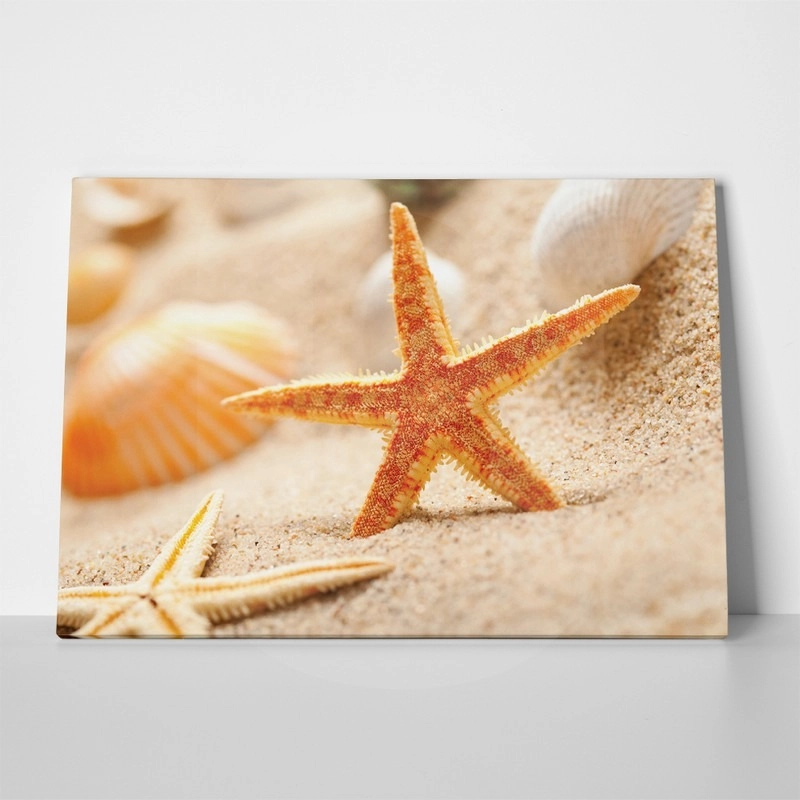 Πινακας σε καμβά STARFISH 1