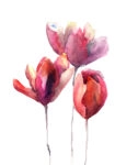 Πινακας σε καμβά TULIPS FLOWERS WATERCOLOR