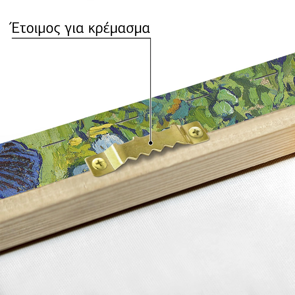 Πινακας σε καμβά VAN GOGH - IRISES