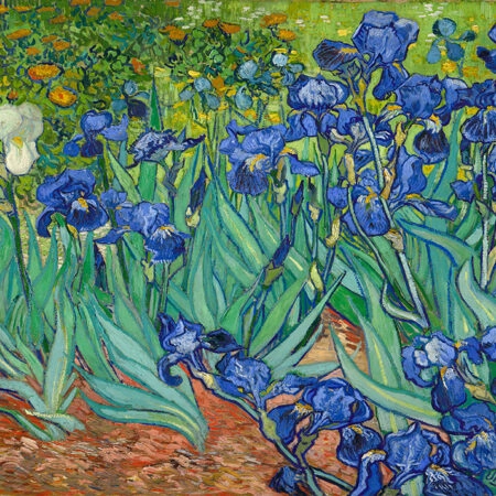 Πινακας σε καμβά VAN GOGH - IRISES -  Sticky 7