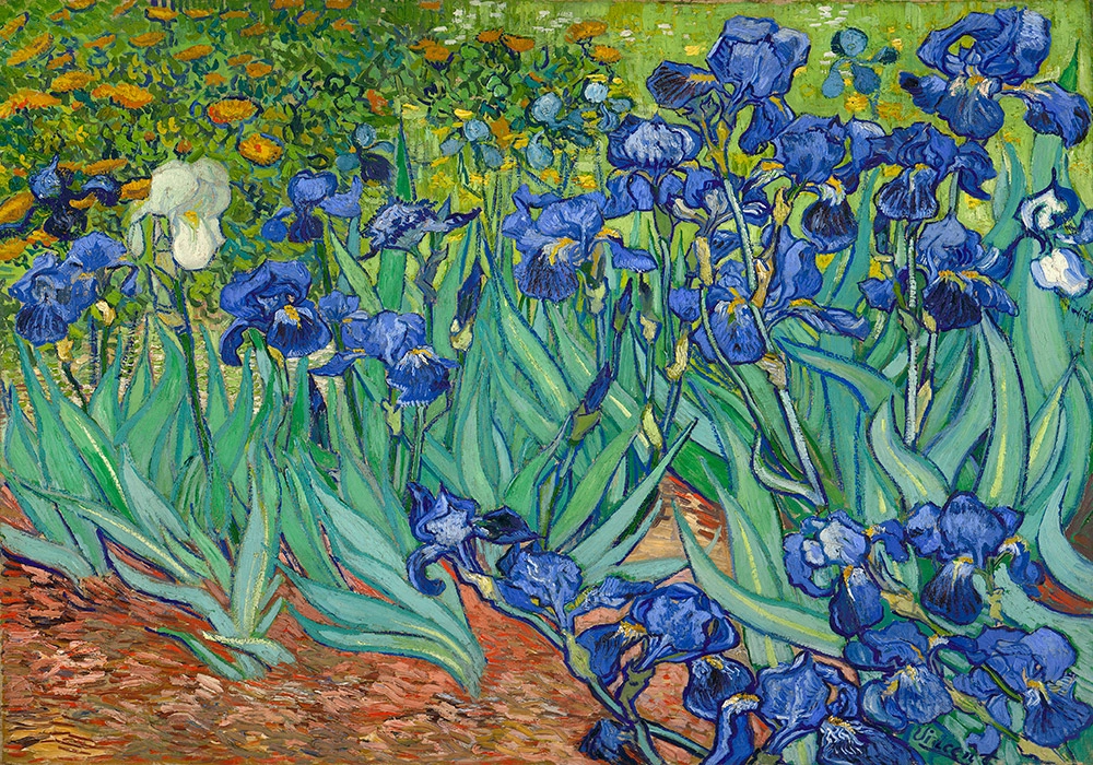 OUTLET Canvas print VAN GOGH - IRISES 100cm x 65cm