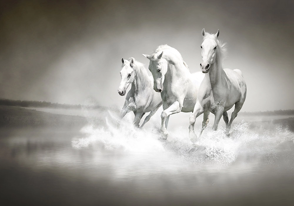 OUTLET Πίνακας σε καμβά WILD HORSES 120cm x 80cm