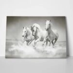 Πινακας σε καμβά WILD HORSES