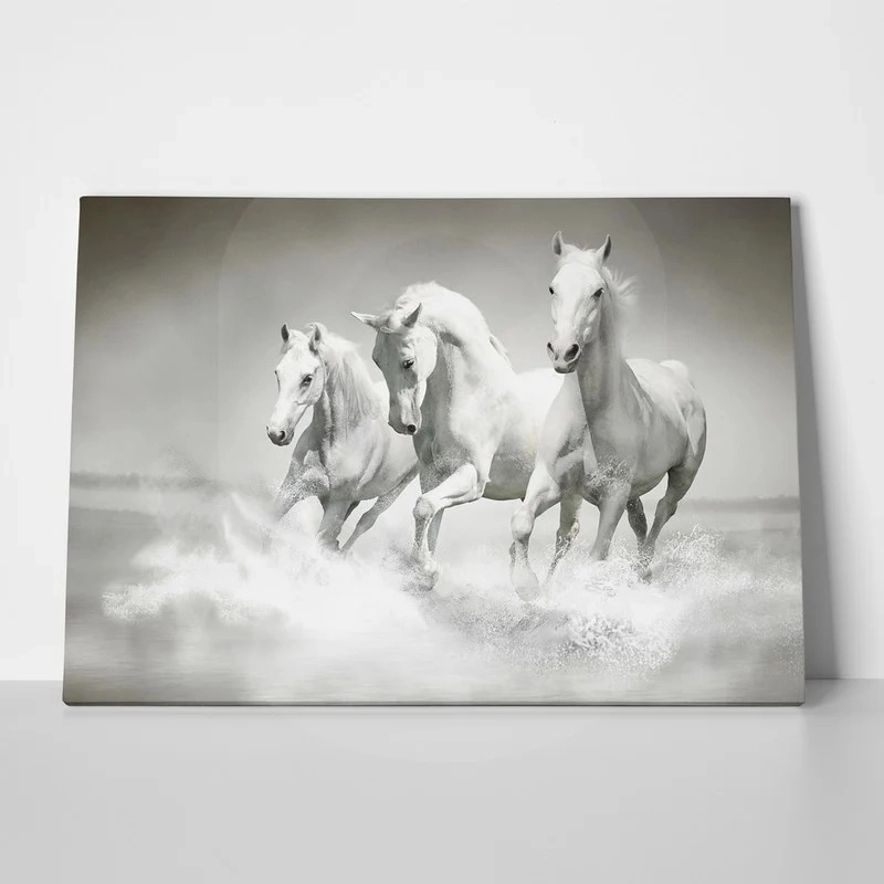 Πινακας σε καμβά WILD HORSES
