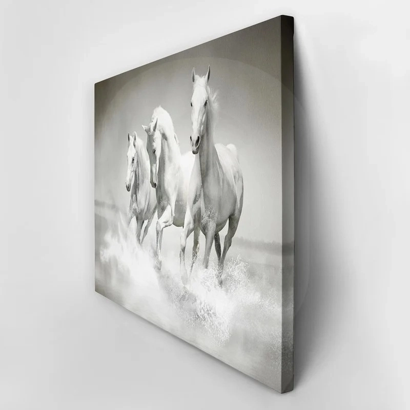 Πινακας σε καμβά WILD HORSES