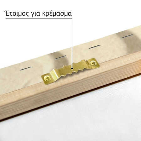 Πινακας σε καμβά ZEN - Κοχυλια Sticky 10
