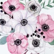 anemones-category