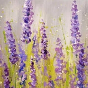 lavender