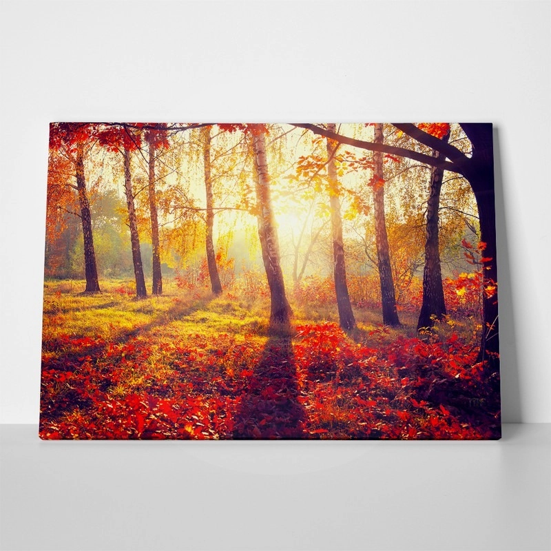 Πινακας σε καμβά BEAUTIFUL AUTUMN PARK 2
