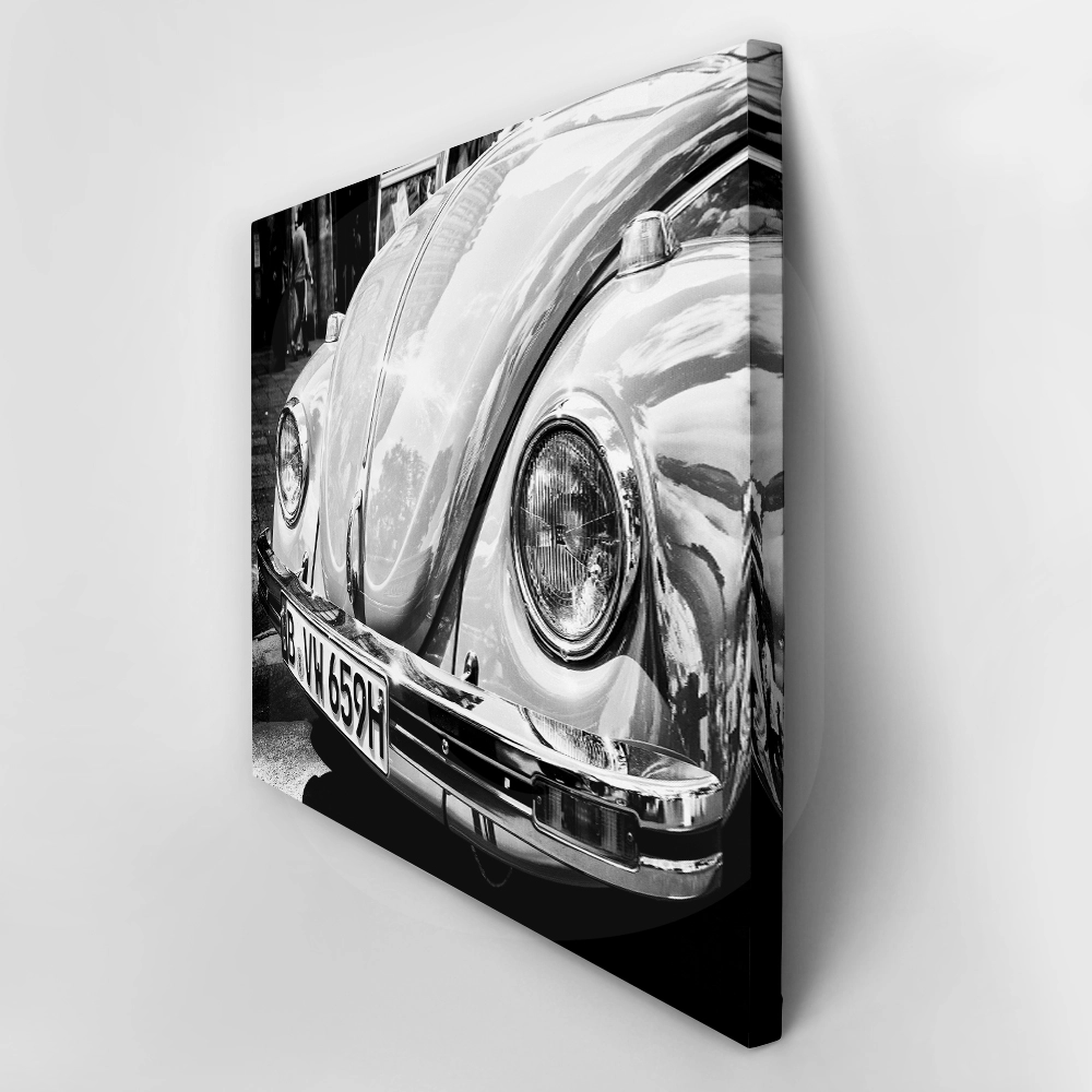 Πινακας σε καμβά BEETLE