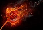 Πινακας σε καμβά BURNING ROSE