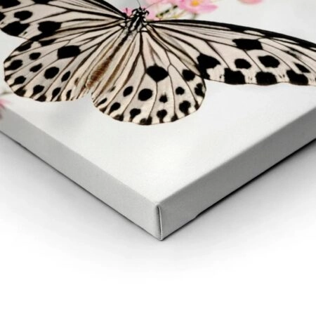 Πινακας σε καμβά BUTTERFLY - Πεταλουδες Sticky 1