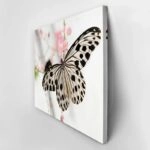 Πινακας σε καμβά BUTTERFLY