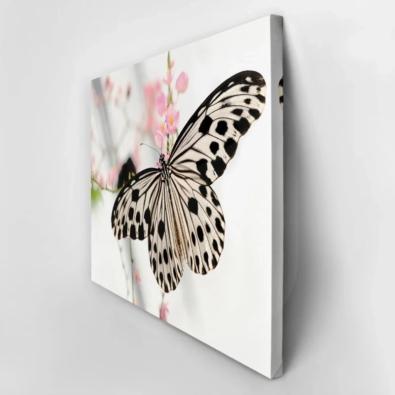Πινακας σε καμβά BUTTERFLY