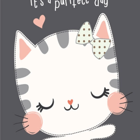 Πινακας σε καμβά CAT PERFECT DAY - Παιδικοι και set Sticky 5