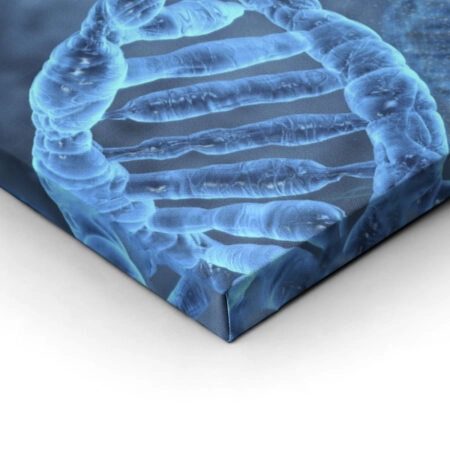 Πινακας σε καμβά DNA - Επιστημη και Υγεια Sticky 1