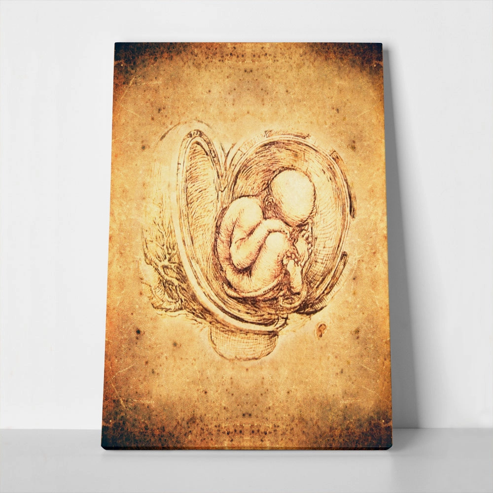 Πινακας σε καμβά DA VINCI - STYLE FETUS