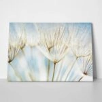 Πινακας σε καμβά DANDELION