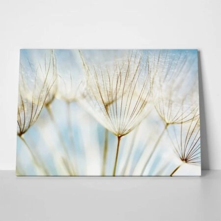 Πινακας σε καμβά DANDELION - Dandelion