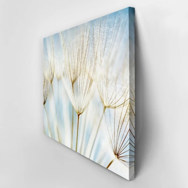 Πινακας σε καμβά DANDELION