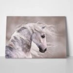 Πινακας σε καμβά GREY HORSE DIGITAL PAINT