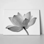 Πινακας σε καμβά LOTUS FLOWER GREY WHITE