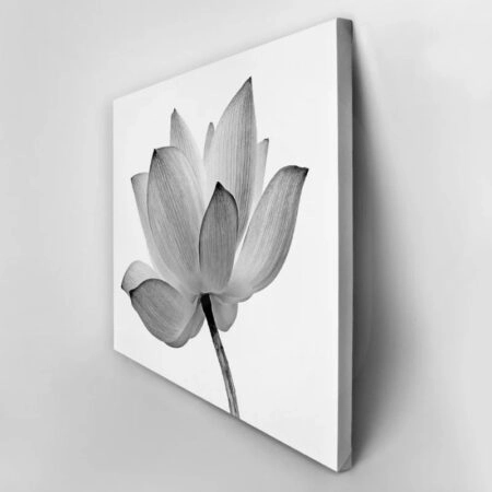 Πινακας σε καμβά LOTUS FLOWER GREY WHITE - Botanical - Φυτα Sticky 2