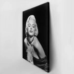 Πινακας σε καμβά MONROE