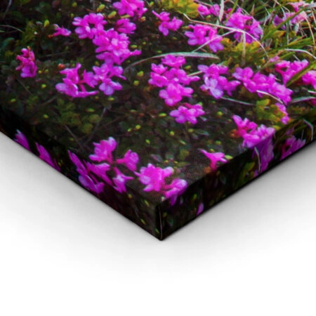 Πινακας σε καμβά MOUNTAIN FLOWERS - Βουνα Sticky 1