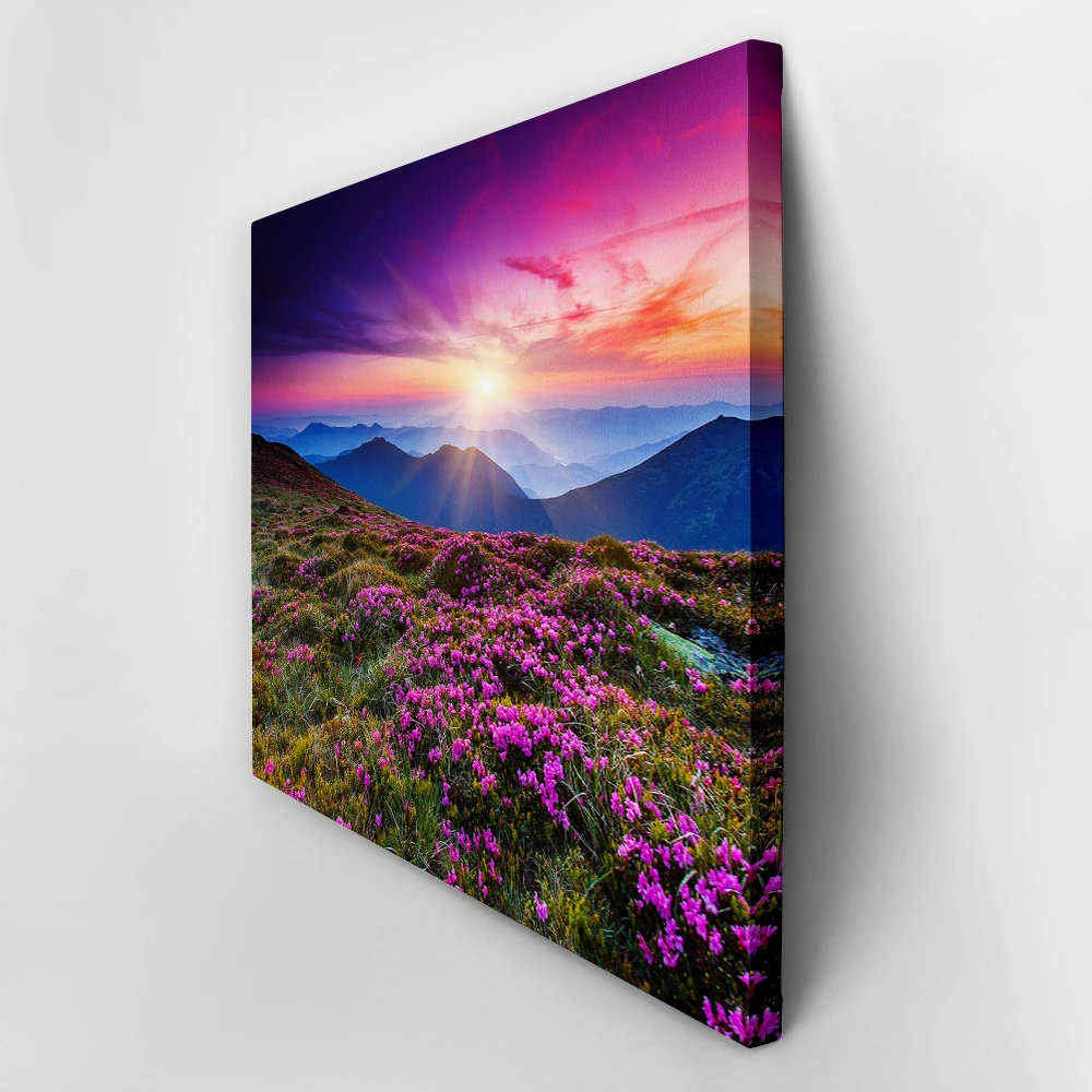 Πινακας σε καμβά MOUNTAIN FLOWERS