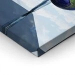 Πινακας σε καμβά NEWTONS CRADLE EARTH 1