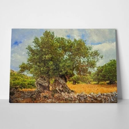 Πινακας σε καμβά OLIVE DRAWING 1 - Υπαιθρος