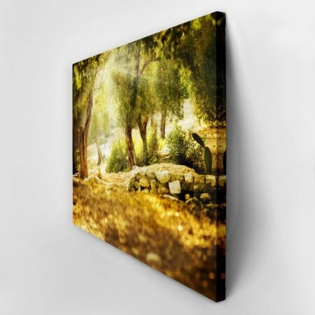 Πινακας σε καμβά OLIVE TREES 2 - Υπαιθρος Sticky 3