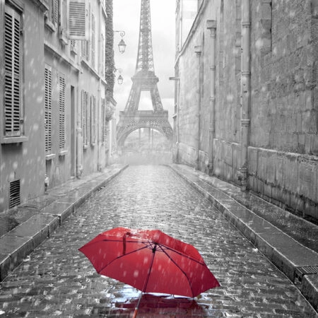 Πινακας σε καμβά PARIS RAIN 2 - Παρισι Sticky 5