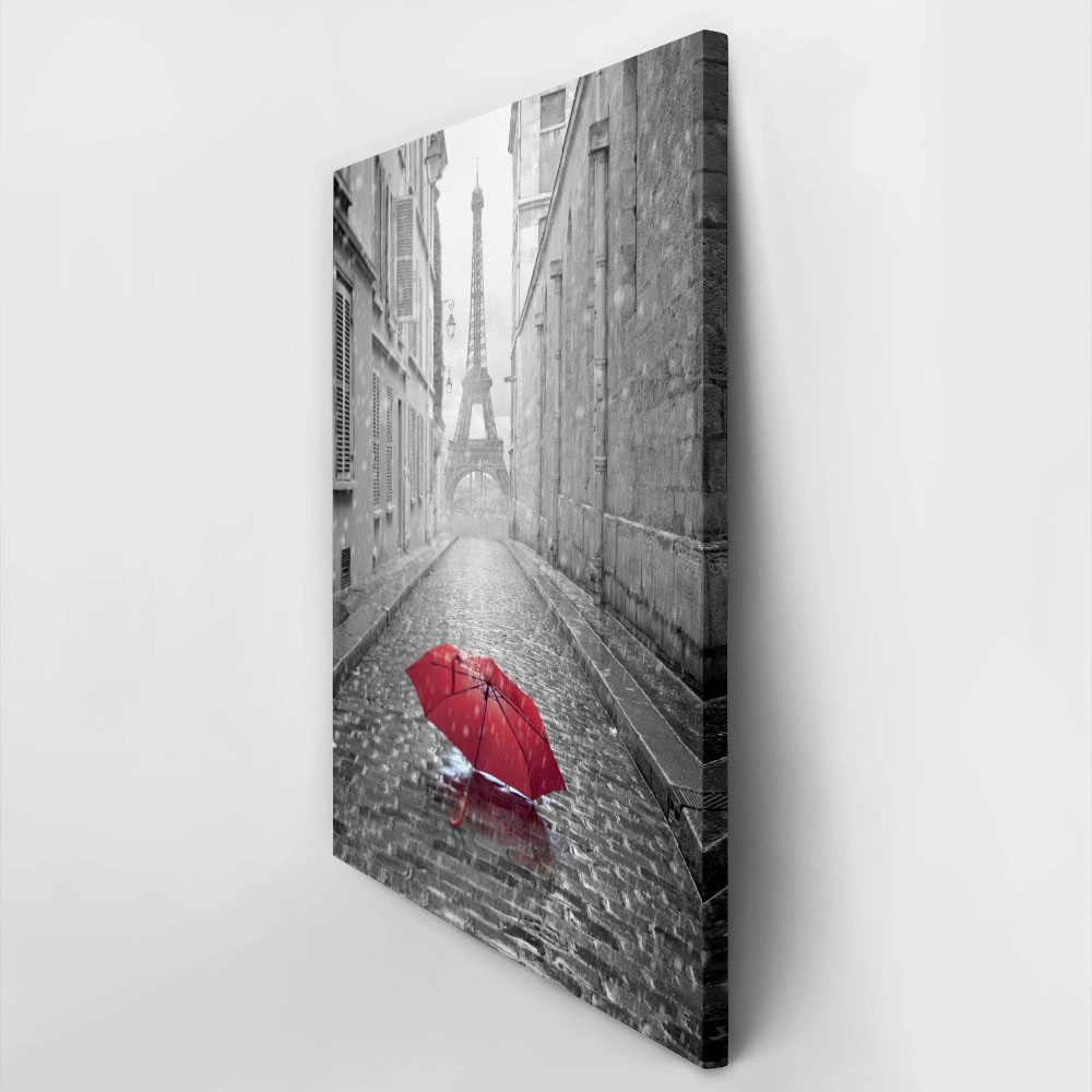 Πινακας σε καμβά PARIS RAIN 2