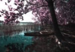 Πινακας σε καμβά PARK PATEIRA