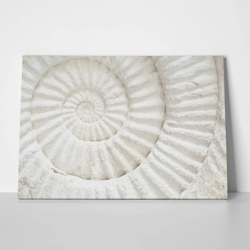 Πινακας σε καμβά PREHISTORIC FOSSIL MACRO