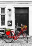 Πινακας σε καμβά RED BIKE 2