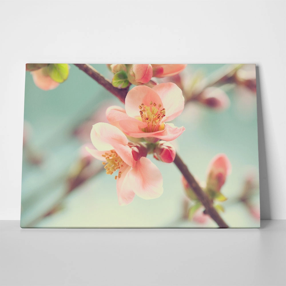 Πινακας σε καμβά SPRING BLOSSOM