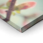 Πινακας σε καμβά SPRING BLOSSOM