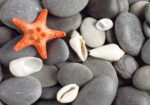 Πινακας σε καμβά STARFISH 2