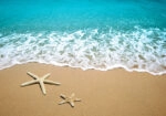 Πινακας σε καμβά STARFISHES SAND
