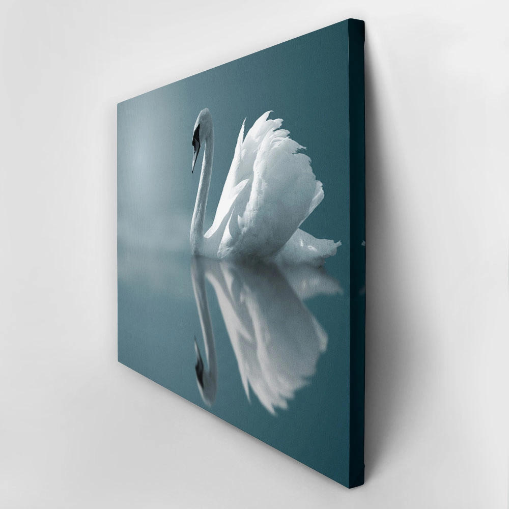 Πινακας σε καμβά SWAN