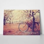 Πινακας σε καμβά VINTAGE BICYCLE FLOWERS