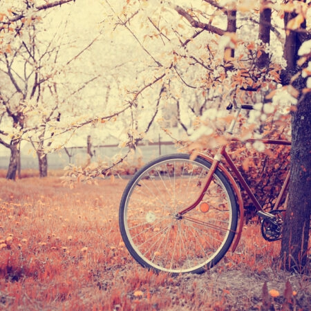 Πινακας σε καμβά VINTAGE BICYCLE FLOWERS - Ποδηλατα Sticky 4