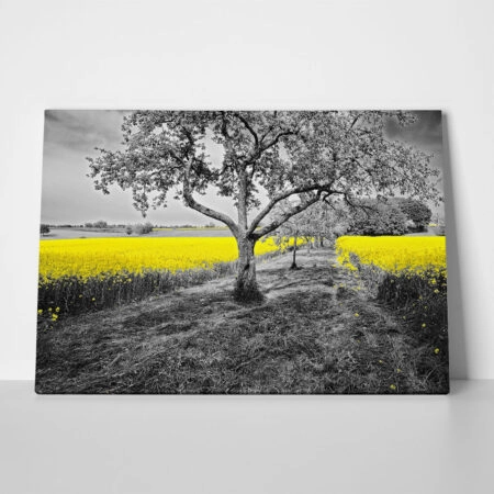 Πινακας σε καμβά YELLOW OILSEED - Υπαιθρος