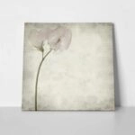 Πίνακας σε καμβά TEXTURED OLD PAPER BACKGROUND SWEET PEA