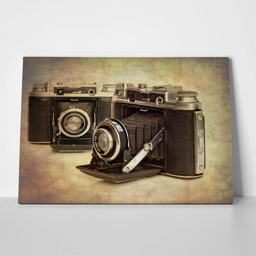 Πινακας σε καμβά ANTIQUE CAMERAS